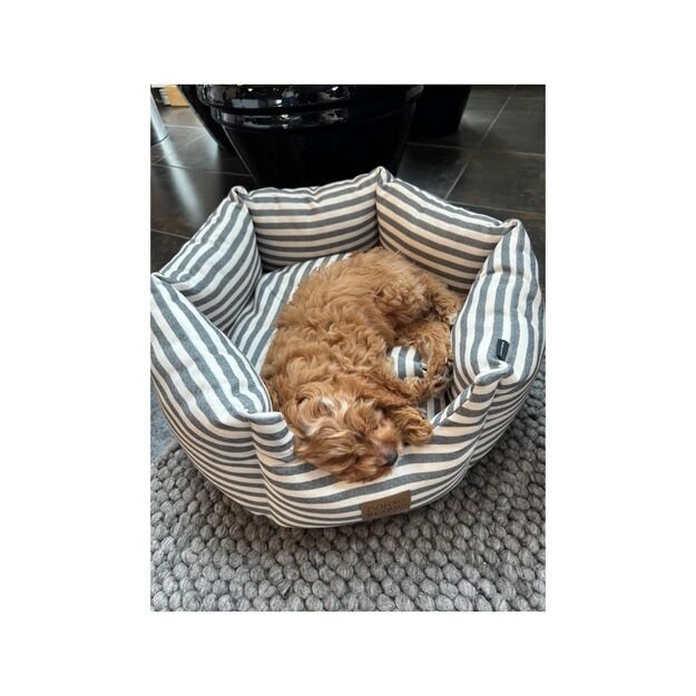 Nordic paws - Bailey Dogbed - Grey - L 2