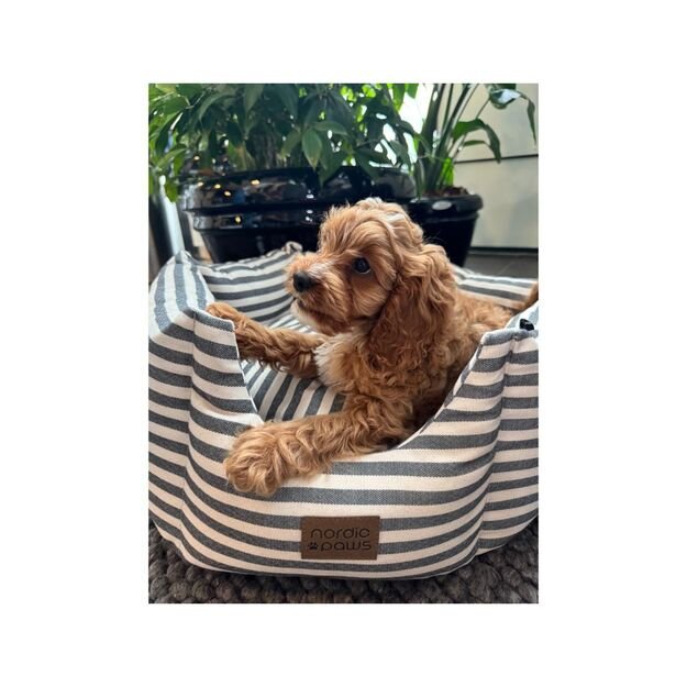 Nordic paws - Bailey Dogbed - Grey - L 3