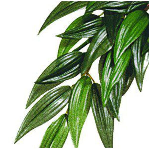 Exoterra - RUCUS M