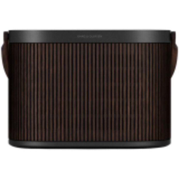 Multimedia - Speaker Wi-Fi BANG & OLUFSEN 1254100