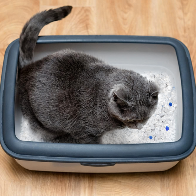 8x Silikona kaķu pakaišu kastīte 1,5 kg Neplīstoša, nesadalās, efektīva.