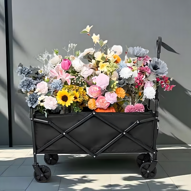 Ar malku kurināms dārza saliekamais kempinga ratiņi