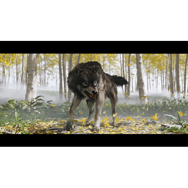 Ghost of Yotei - PlayStation 5