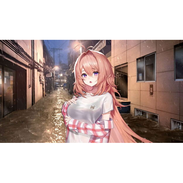 Love Delivery & Love in Login - Nintendo Switch