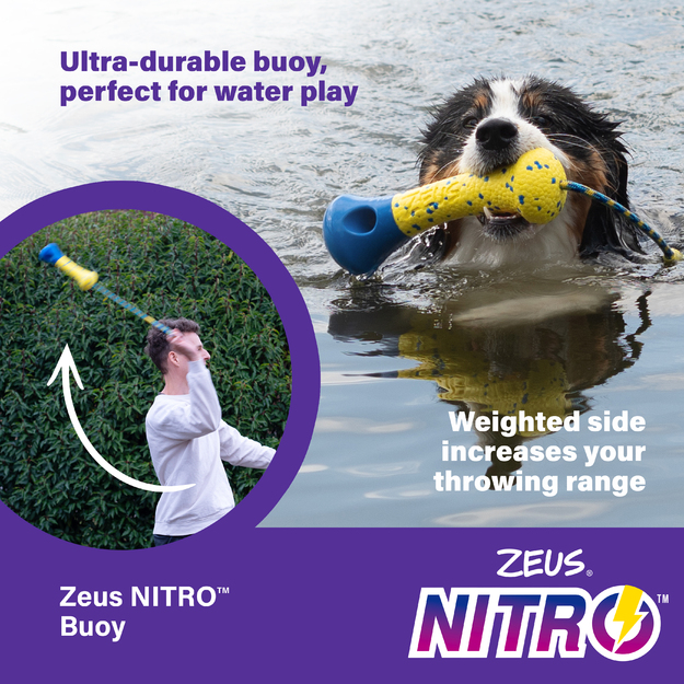 Zeus Nitro - Weighted Stick - Yellow and Blue - 26cm