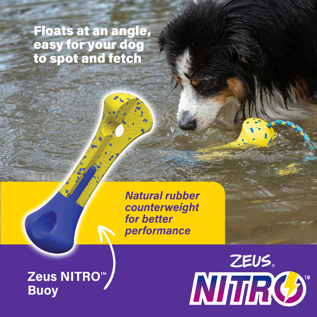 Zeus Nitro - Weighted Stick - Yellow and Blue - 26cm