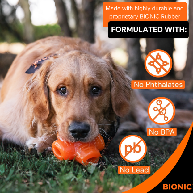 Bionic - Treat Star - One Size