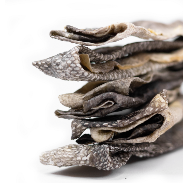 Snack´it - Cod Skin Sticks (Folded) - 500g