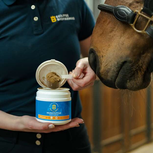 Biofarmab - Chasteberry - 200g