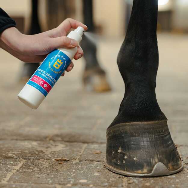 Biofarmab - BioChlorHex Spray - 200ml