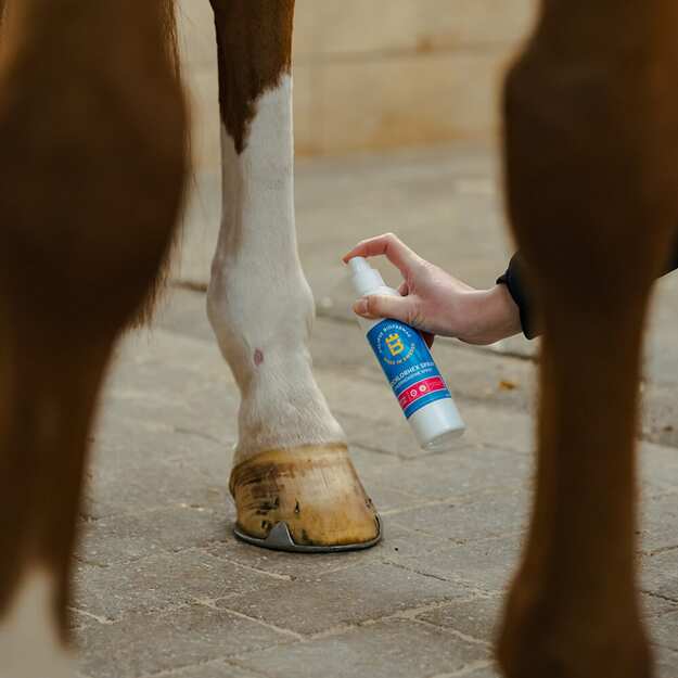 Biofarmab - BioChlorHex Spray - 200ml