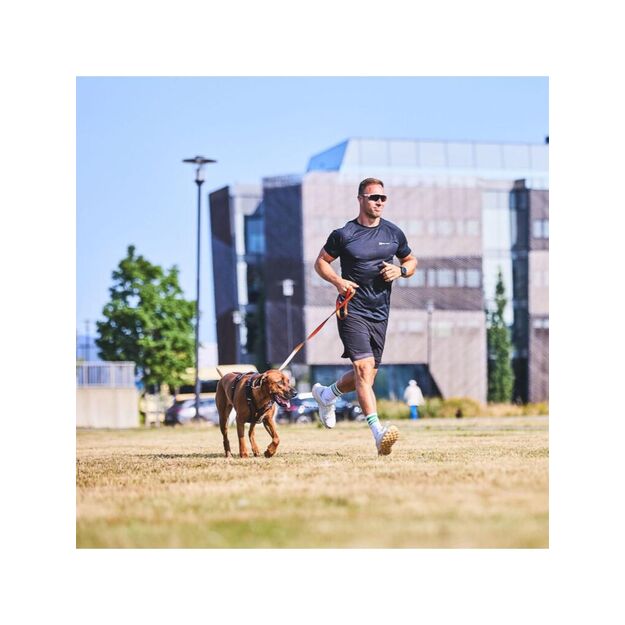 Non-Stop - Rock Harness - Black/orange - M