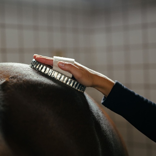 BORSTIQ - Oval curry comb