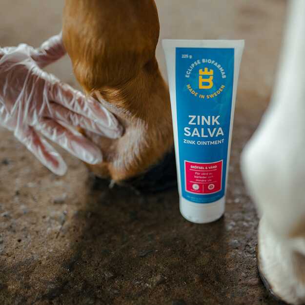 Biofarmab - Zinc ointment - 100g