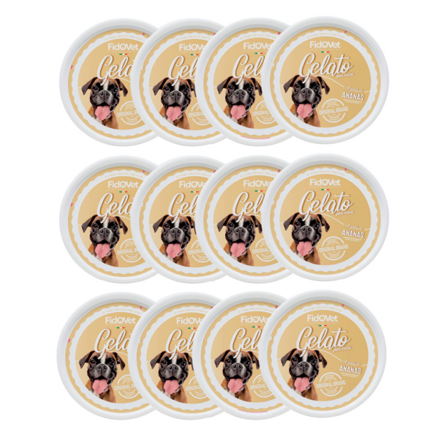 Fidovet - Gelato Pineapple - 40 g