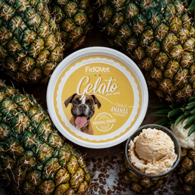 Fidovet - Gelato Pineapple - 40 g