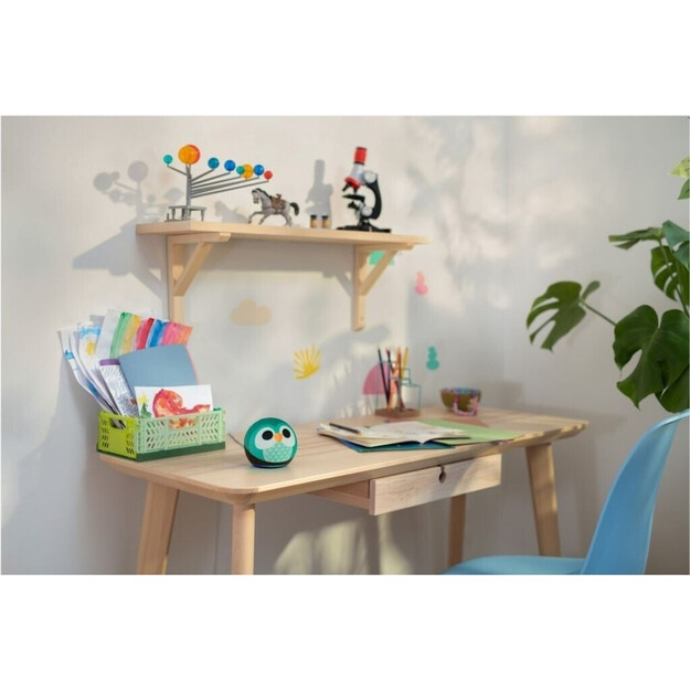 Amazon - Echo Dot Kids 5th Gen Owl Edition