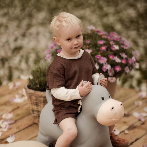 Find that hippo - Jumping animal - Holger the Hippo (53100104)