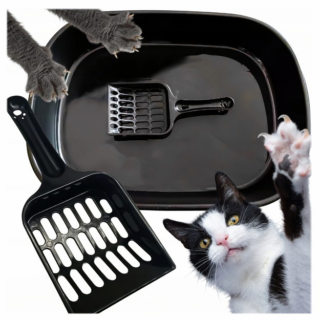 Kačių ir kačiukų kraiko dėžutė su samteliu, atvira, paprasta