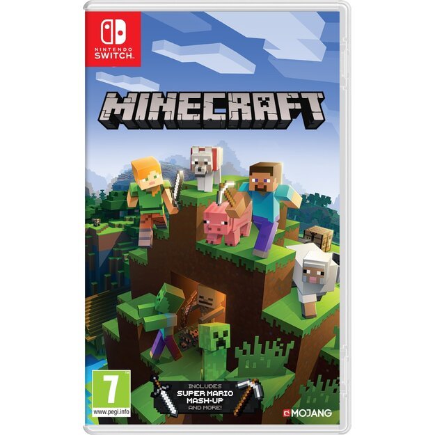Minecraft 1