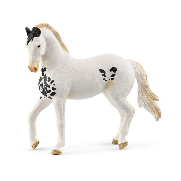 Schleich - Marwari Stallion - (14898) 1