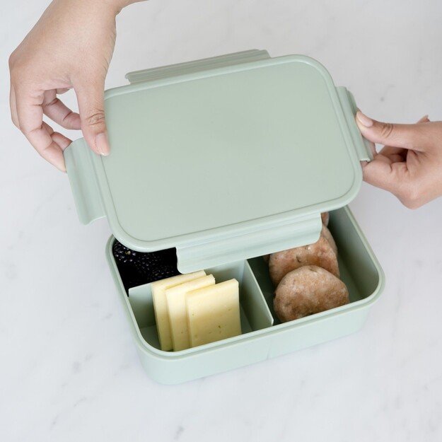3 Sprouts - Lunch Box, Green - (IBBSGN) 1