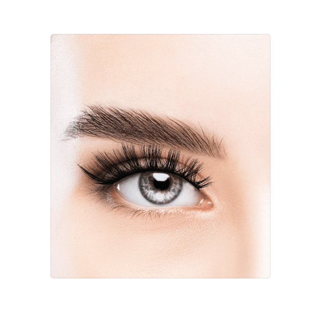 Dashy - Obsession Faux Lash