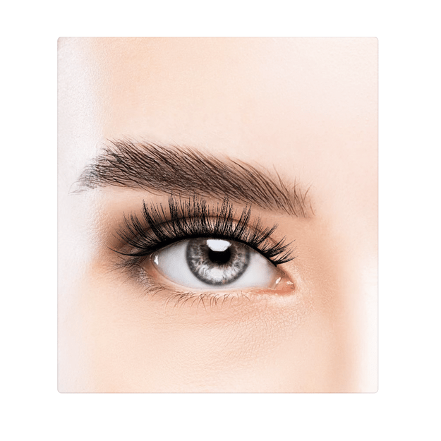 Dashy - Wildcat Faux Lash