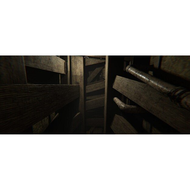MADiSON - Possessed Edition

  - PlayStation 5