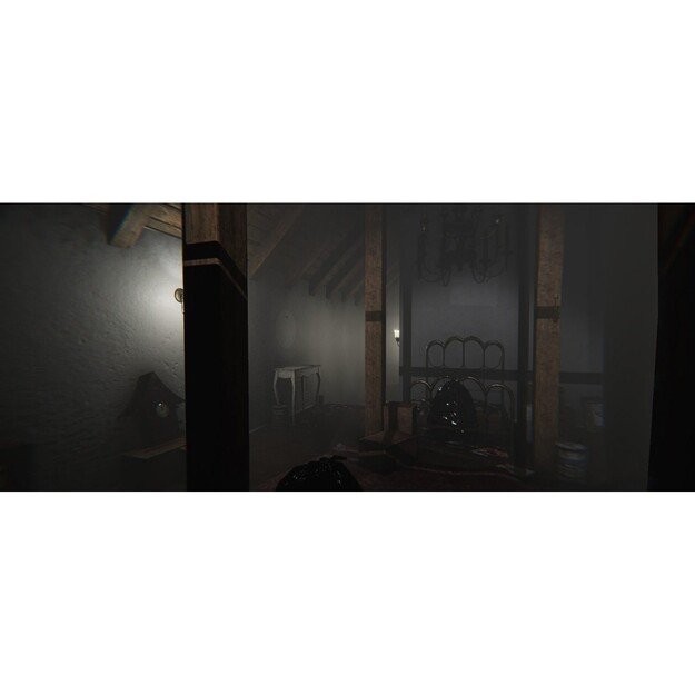 MADiSON - Possessed Edition

  - PlayStation 5