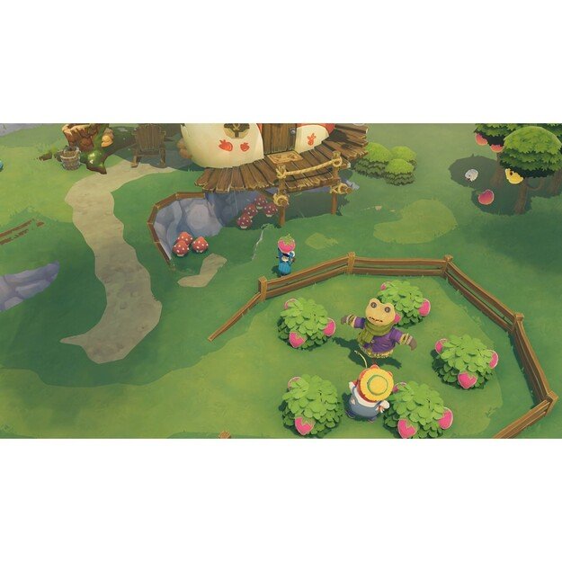 Time on Frog Island

  - Xbox Series X