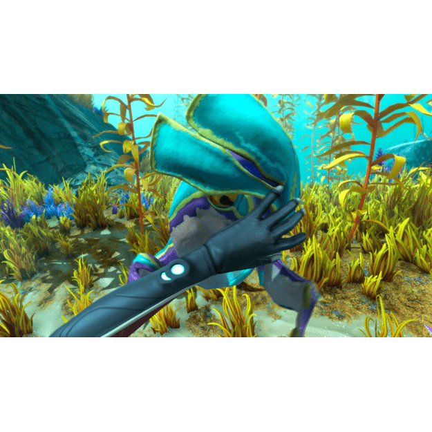 Subnautica Below Zero (XSERIESX/XONE)

  - Xbox Series X