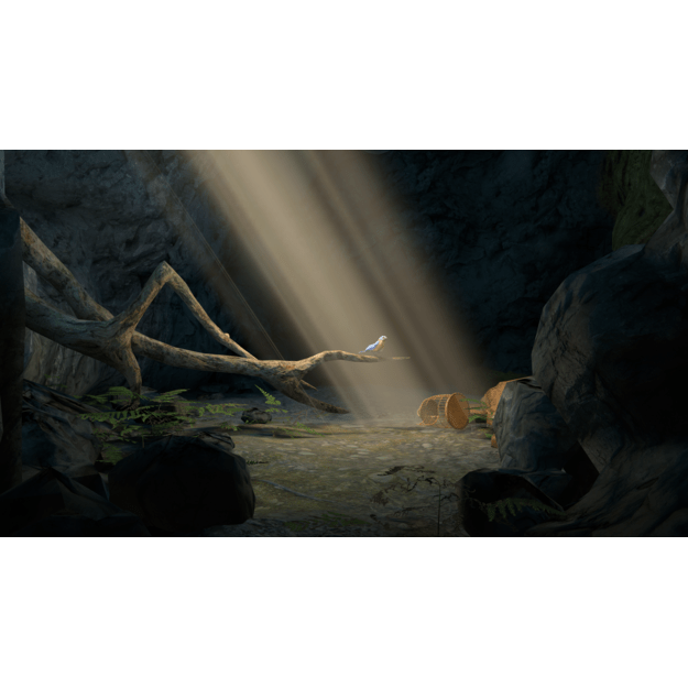 Colossal Cave (Limited Run) (Import)

  - Nintendo Switch