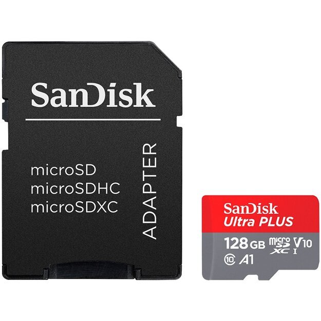 Memory Flash cards SANDISK SDSQQNR-128G-GN6IA 1