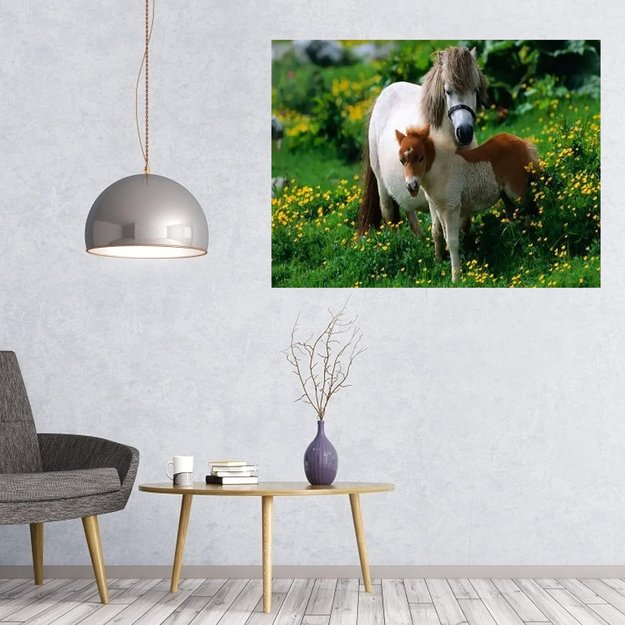 MALOWANIE PO NUMERACH OBRAZ Z RAMĄ  DIY ZESTAW PĘDZLE FARBY PŁÓTNO 40x50 6