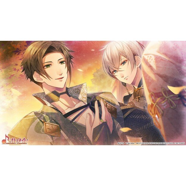 Winter's Wish: Spirits of Edo
      
        - Nintendo Switch
