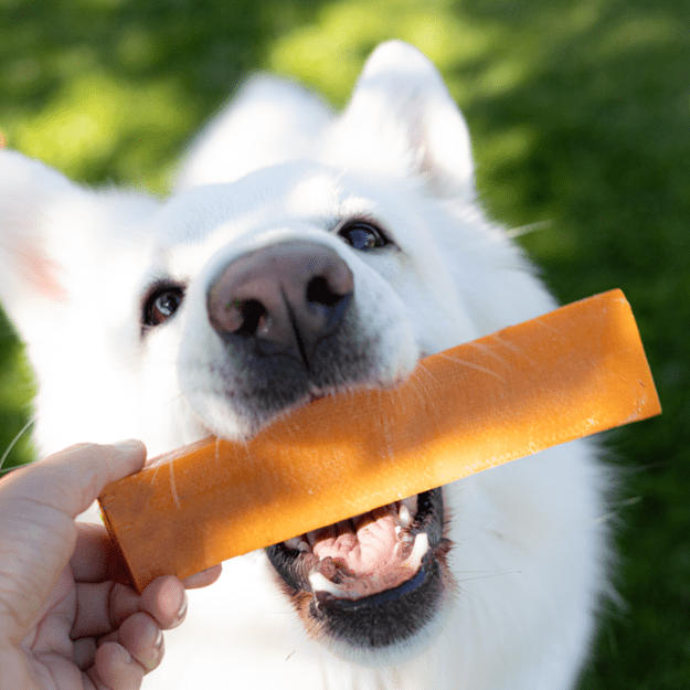 yaki - Cheese dog snack  with Pumpkin - 100-110g L 1
