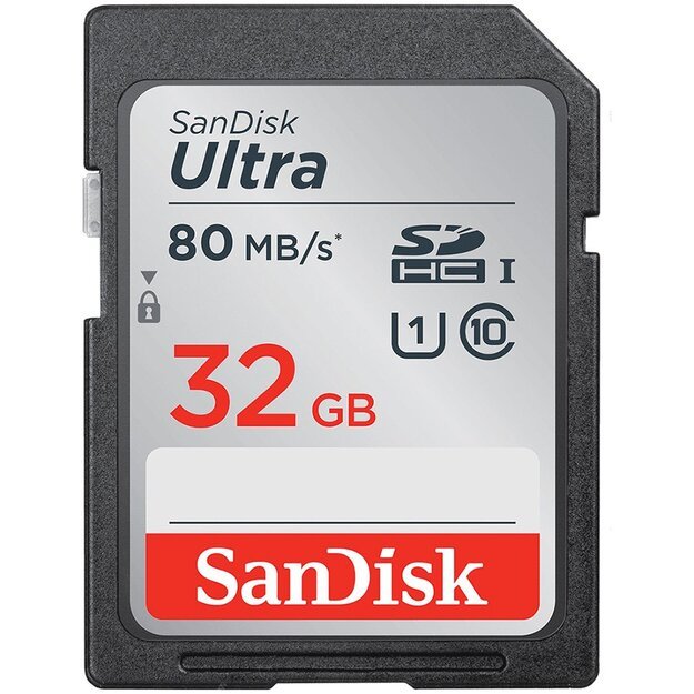 Memory Flash cards SANDISK SDSDUN4-032G-GN6IN 1