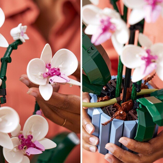 LEGO Icons - Orchid (10311)