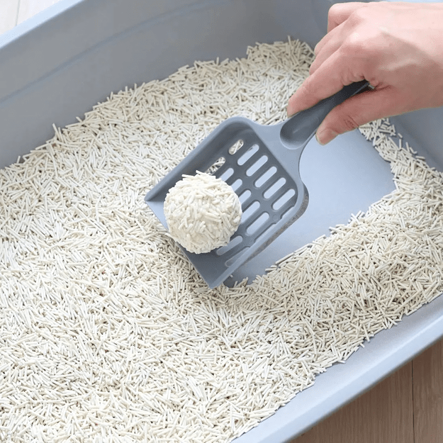 Tofu kraikas katėms BIODEGRAD Organic 100% natūralus 2,5 kg 5 l 8