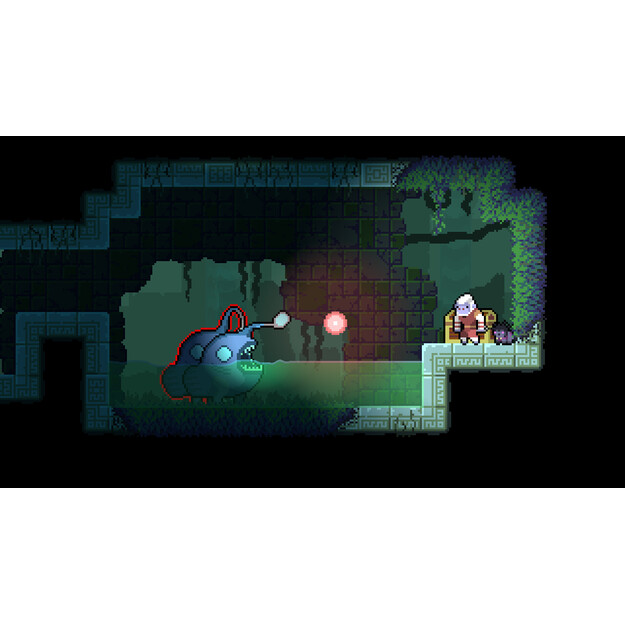 Dunjungle - Premium Edition