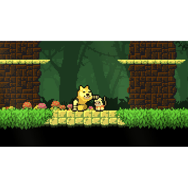 Dunjungle - Premium Edition