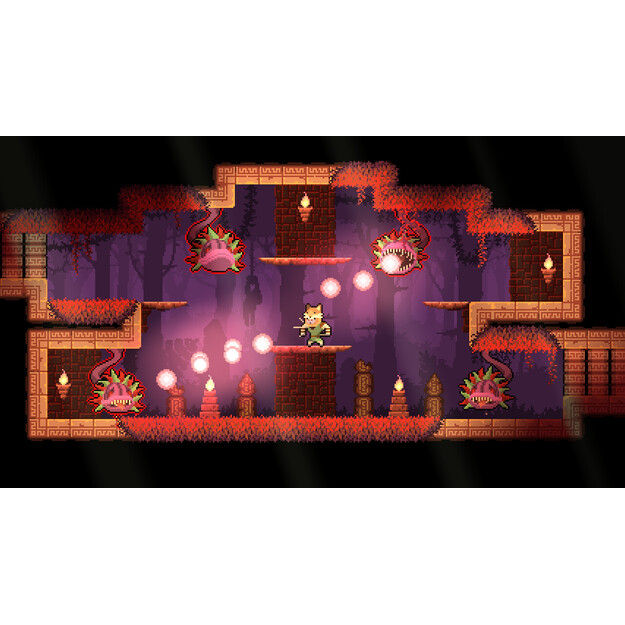 Dunjungle - Premium Edition