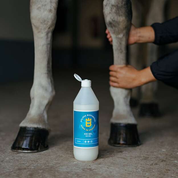 Biofarmab - Ice Gel - 500ml