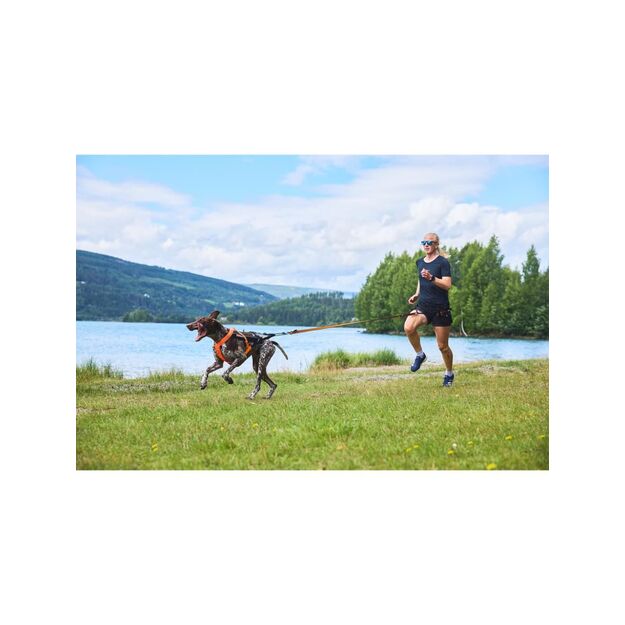 Non-Stop - Running Belt Canix 2.0 - Black - L