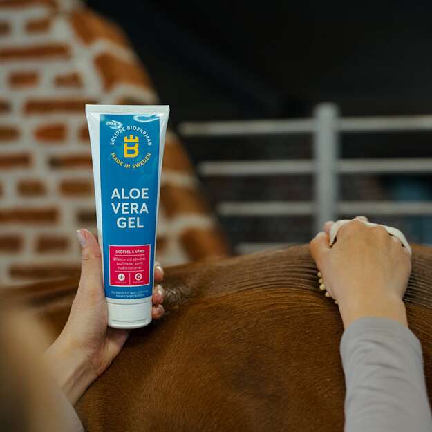 Biofarmab - Aloe Vera gel - 250g