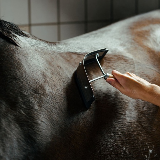 BORSTIQ - Sweat scraper