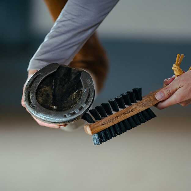 BORSTIQ - Double-sided hoof brush with hoof pick