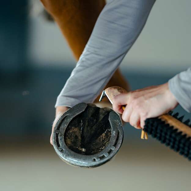 BORSTIQ - Double-sided hoof brush with hoof pick