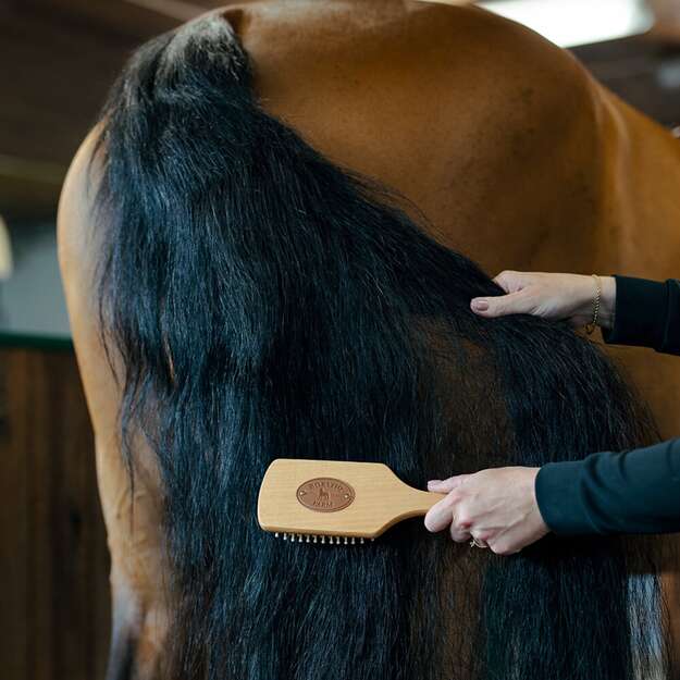 BORSTIQ - Mane/Tail Brush - wooden - square